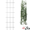 Supporto per piante - graticcio da giardino 150 x 45 cm - 8 