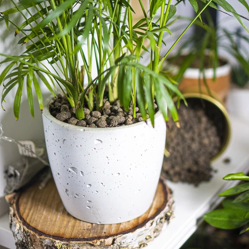 Argilla espansa per piante in vaso, giardinaggio e terrari in vetro, 4-10 mm, 1 L - 10