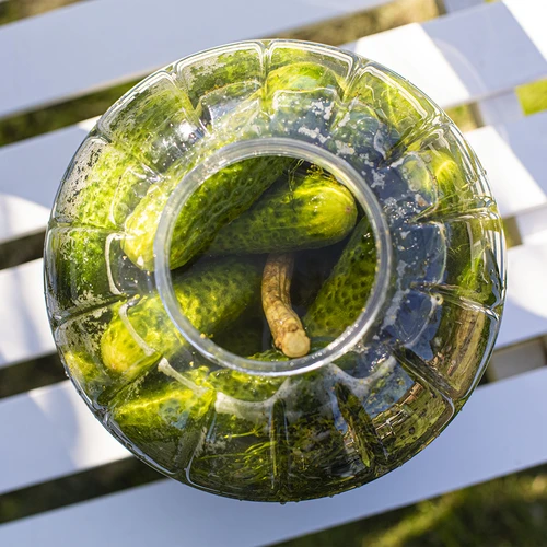 Barattolo infrangibile e multifunzionale per la fermentazione, 8 L - 5