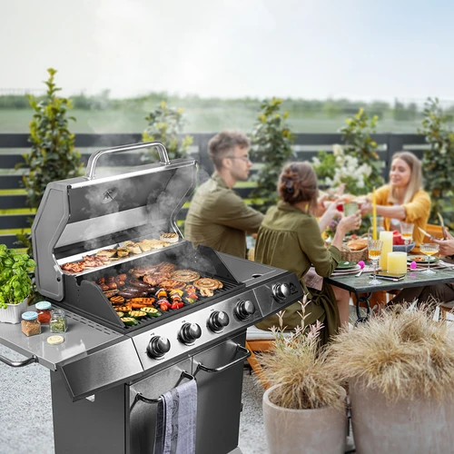 Barbecue a gas dragON BBQ201, 18,8 kW, argento - 3