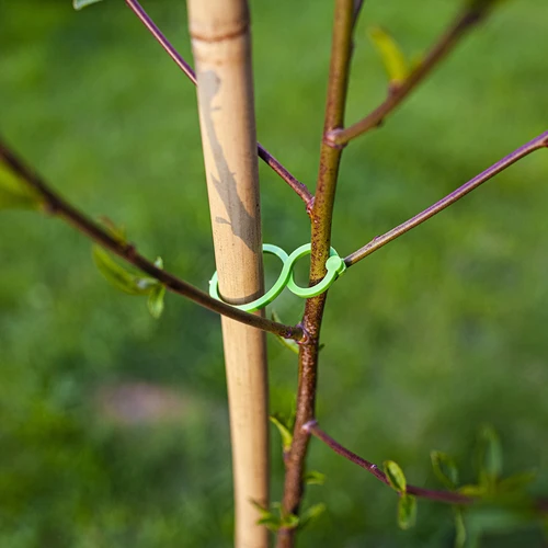 Clip in plastica per legare le piante, mix 50 pezzi - 6