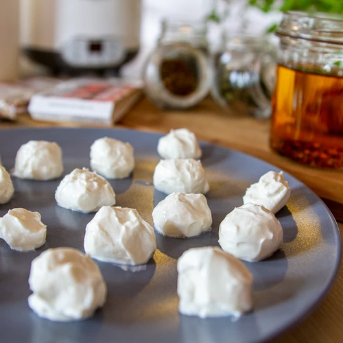 Fermenti lattici per yogurt - 5