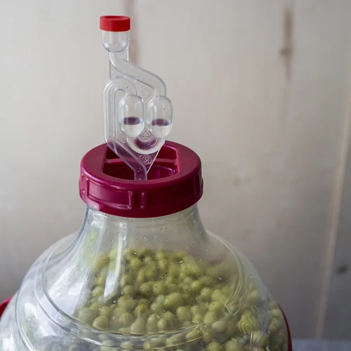 Damigiana per vino leggera e infrangibile con cinghie, 25 L - 13