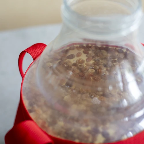 Damigiana per vino leggera, infrangibile, con cinghie di trasporto, 10 L - 17