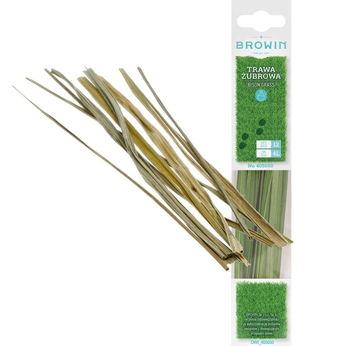 Erba del bisonte - Hierochloe odorata 12 steli / 4 L