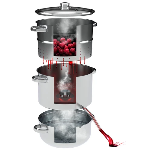 Estrattore di succo a vapore in acciaio inox 8 L - 4