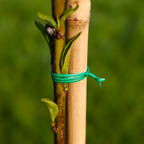 Filo da giardino piatto, rivestito in PVC 50 m x 2 mm - 2