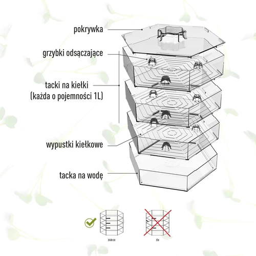 Germogliatore multilivello Niezłe Ziółko con semi di ravanello - 11