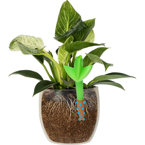 Irrigatore per piante – foglia verde con punta in ceramica, 120 ml - 6