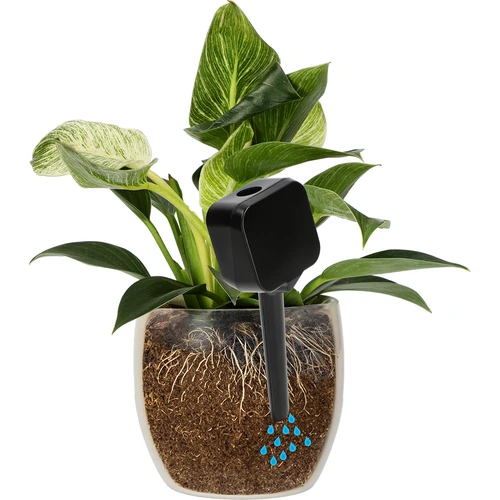 Irrigatore per piante – lavagnetta nera, 200 ml - 6