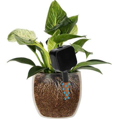 Irrigatore per piante – lavagnetta nera con puntale in ceramica, 200 ml - 6