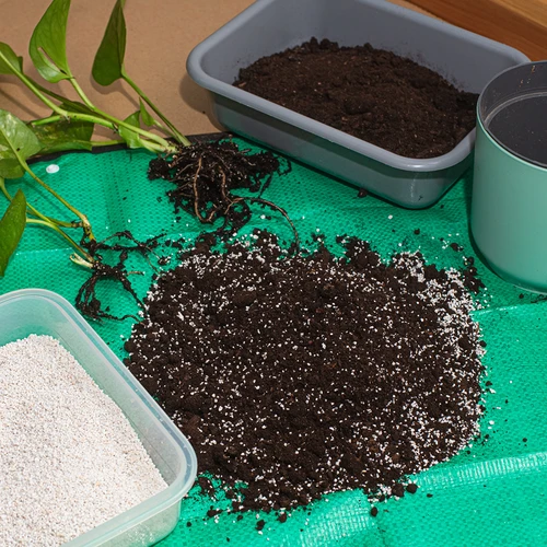 Perlite espansa per piante in vaso e giardinaggio, 2L - 7