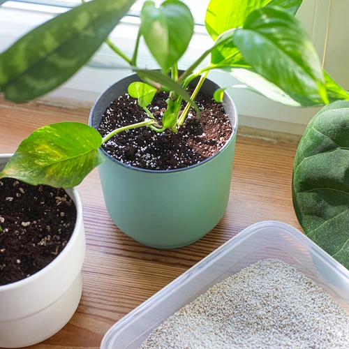 Perlite espansa per piante in vaso e giardinaggio, 2L - 8