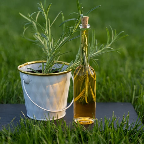 Set di 6 bottiglie per liquori 100 ml + 6 tappi in sughero - 10