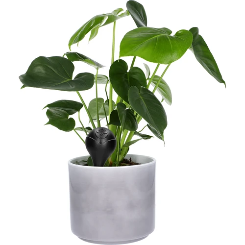 Sfera irrigante per piante, nera opaca, con picchetto in ceramica (in confezione) 400 ml - 8