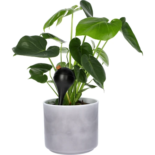 Sfere autoirriganti per piante, nere opache, con tappo, 400 ml, 4 pezzi. - 7