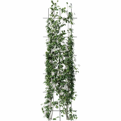 Supporto per piante - graticcio (150 cm x 45 cm) 3 pezzi - 3