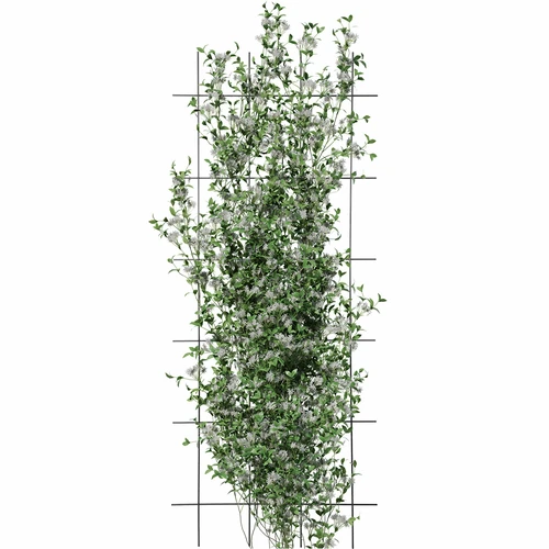 Supporto per piante – graticcio da giardino 150 x 60 cm - 3