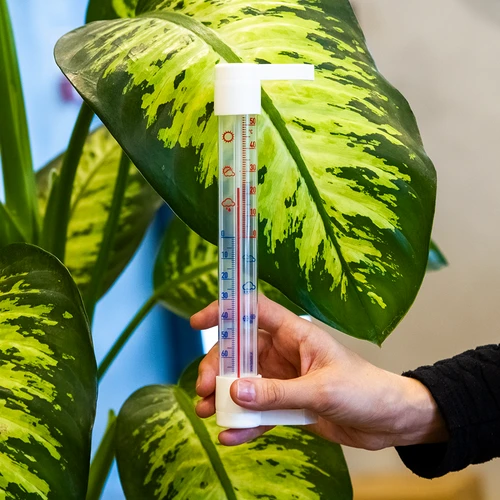Termometro da esterno con scala trasparente (-70°C a +50°C) 23 cm, assortito - 3