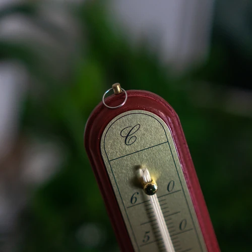 Termometro da interno con scala dorata (da -10 °C a +60 °C) 28 cm — assortito - 7