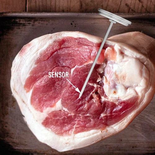 Termometro per arrosti di carne (da 0°C a +120°C) 12,5 cm - 10