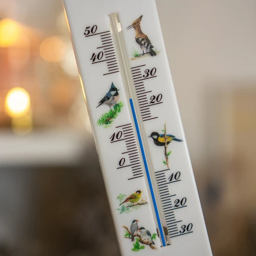 Termometro universale con grafica - Uccelli (da -30°C a +50°C) 20 cm - 4