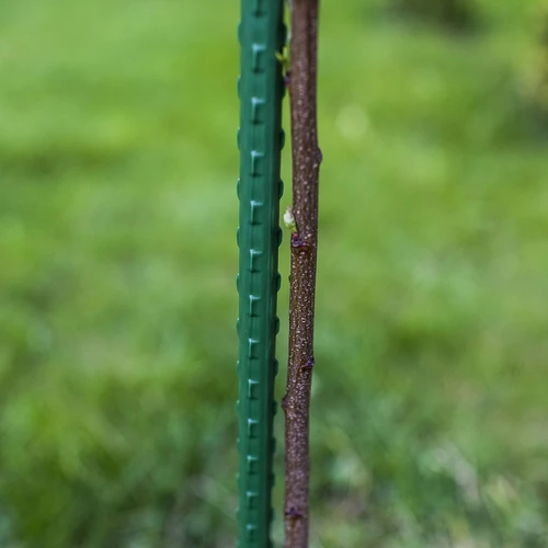 Tutore in acciaio rivestito in PE 1,25 m x 11 mm - 3