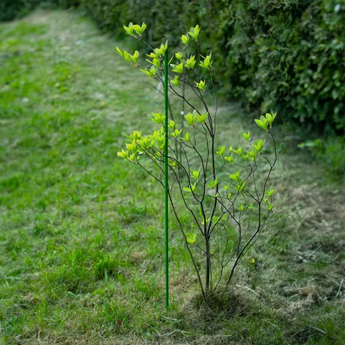 Tutore in acciaio rivestito in PE 1 m x 8 mm - 6