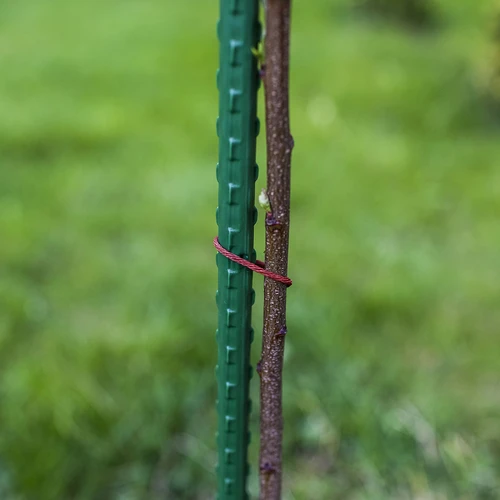 Tutori da giardino Bioogród – acciaio rivestito, 1,5 m, Ø 11 mm, 10 pz. - 5