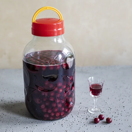 Vaso per liquori 5 L + tappo a vite con manico - 6