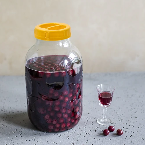 Vaso TO 5 L con coperchio in plastica Ø 100 con manico - 5