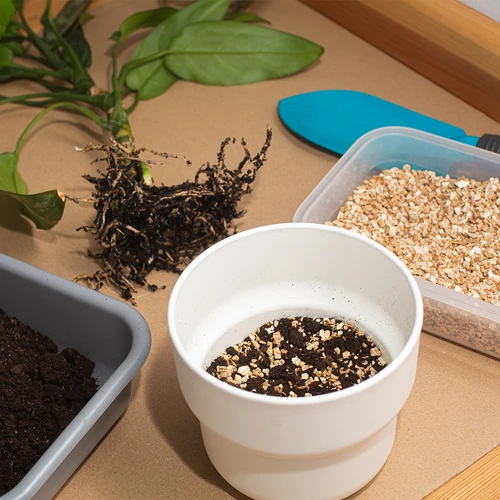 Vermiculite per piante in vaso e giardinaggio, 2 L - 7