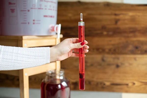 Come fare il vino passo dopo passo?