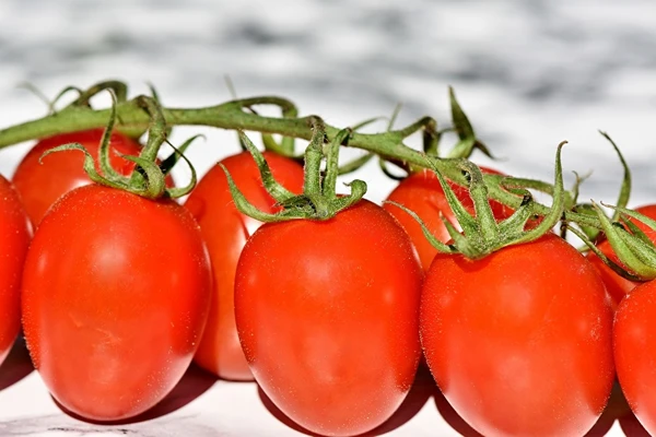 Passata di pomodoro