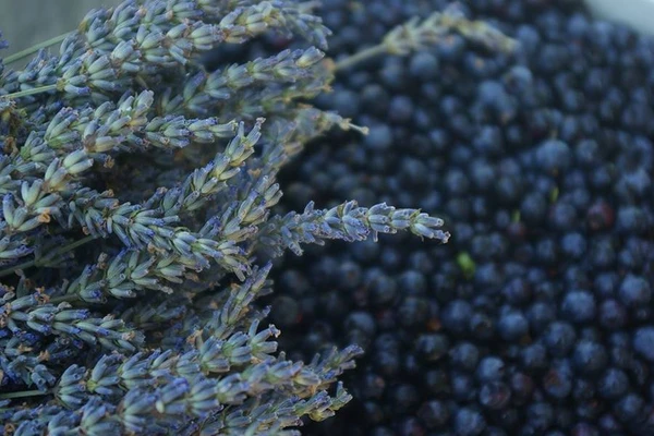 Vino casalingo alla lavanda e mirtilli