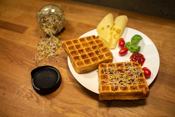 Waffle salati