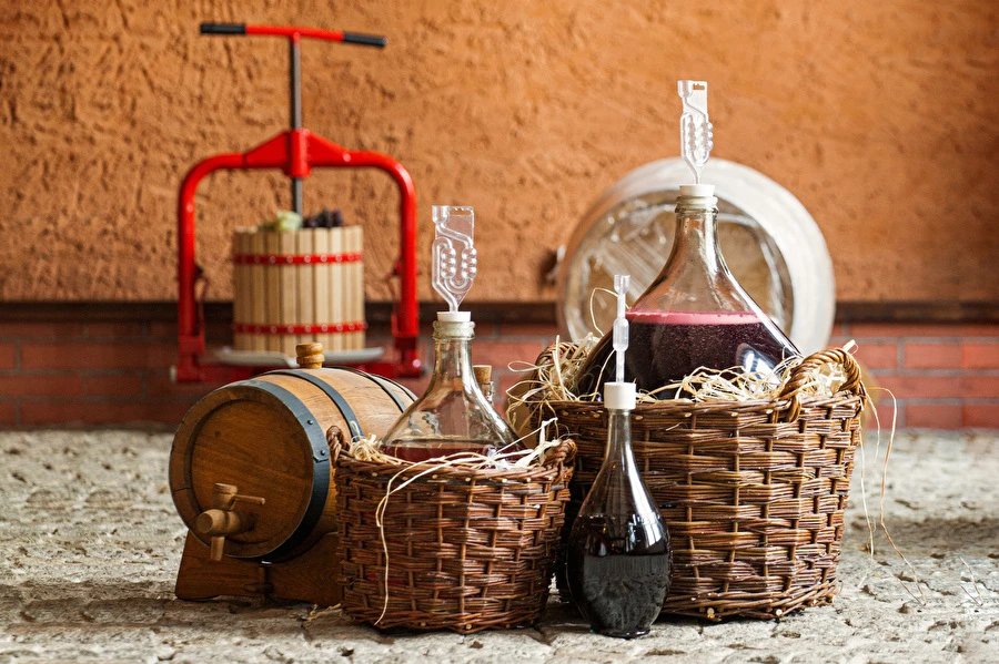 Come fare il vino passo dopo passo?