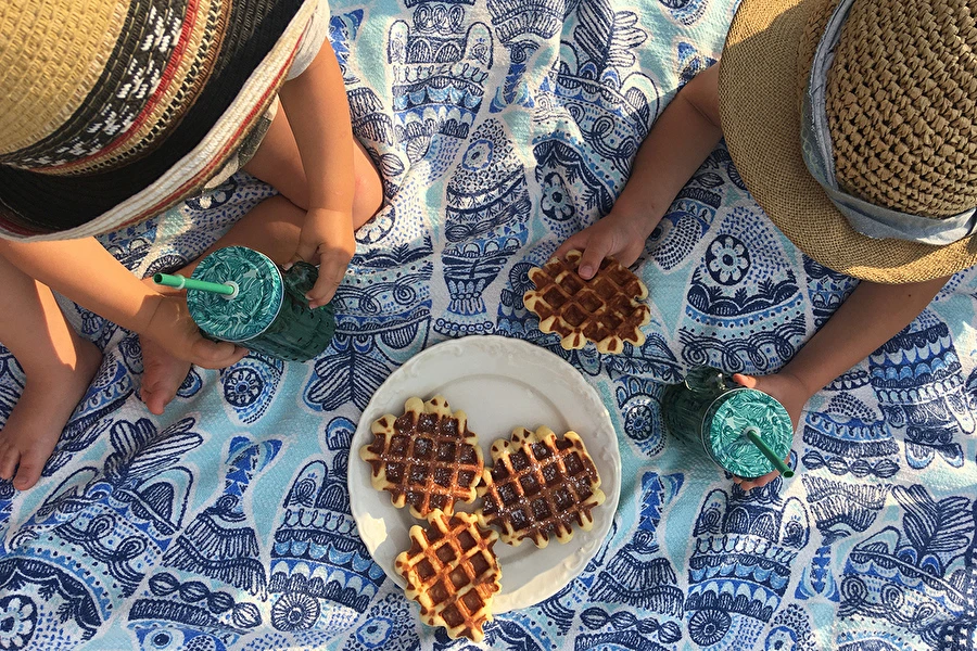 Browin Przepiśnik - Deliziosi waffle lievitati