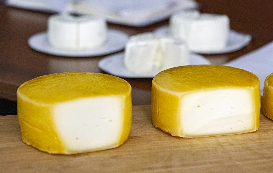 Formaggio casalingo tipo Gouda