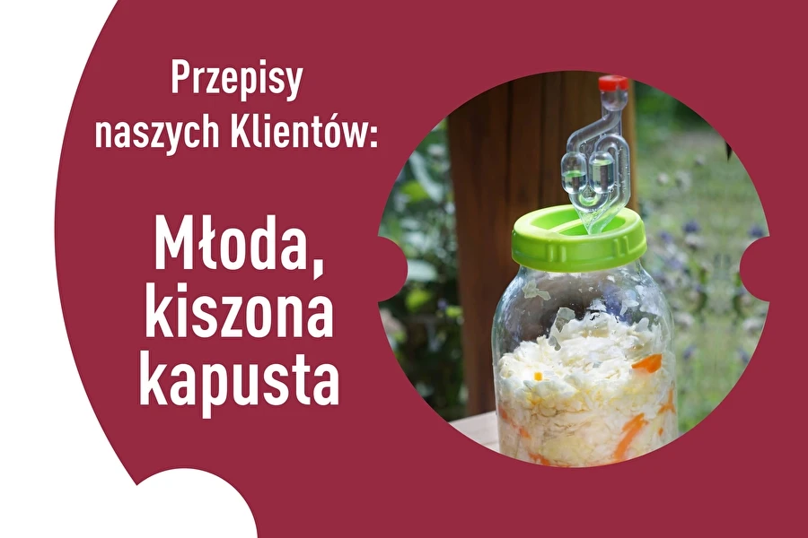 Browin Przepiśnik - Le ricette dei nostri Clienti: Cavolo giovane fermentato