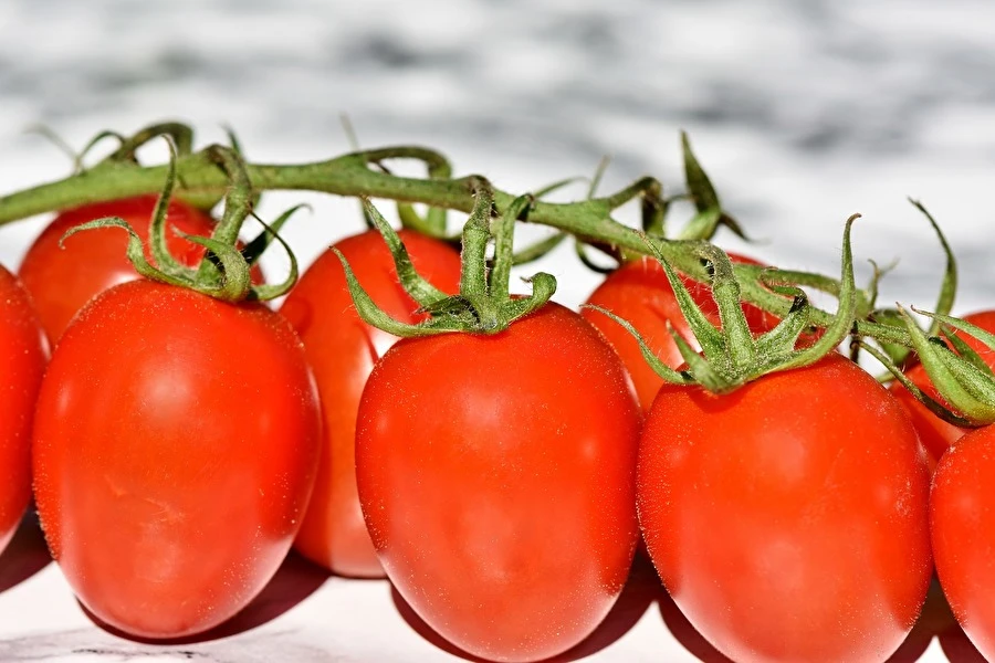 Browin Przepiśnik - Passata di pomodoro
